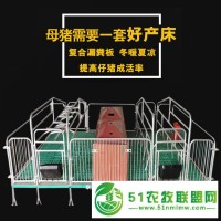 双体母猪产床 复合母猪分娩床 养猪场设备
