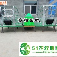 贵州六盘水养猪设备生产厂家出售双体复合产床