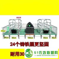 养猪设备 全复合产保一体母猪产床 猪用双体产床