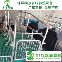 母猪产床复合板双体母猪产床母猪产保一体产床定位栏养猪设备