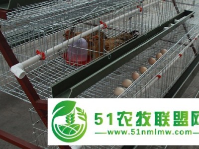 淮南鸡笼厂家 淮北鸽子笼定制 六安传宝 马鞍山清粪设备图1
