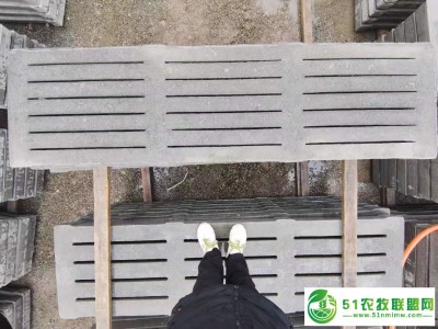*高性价比畜牧水泥漏粪板四川省南充市仪陇县复兴镇，可定制，现有3X0.6X0.1,2.4x0.6x0.1,2.2x0.6x0.1,1.5x0.6x0.1图1