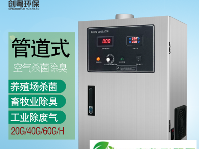 广州创粤供应安徽养猪场20g管道式臭氧发生器 空气臭氧杀菌机 猪舍除氨臭氧消毒设备图1