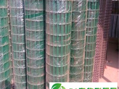 厂家** 河南养殖围栏网|养鸡荷兰网图1