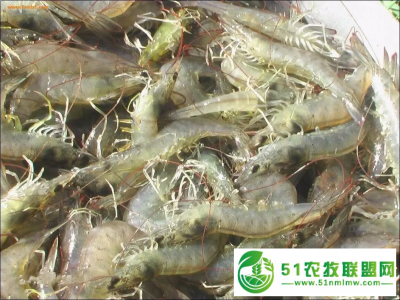 恭喜湖北华沃生态农业有限公司成功签约湖南60后的李先生夫妇图1