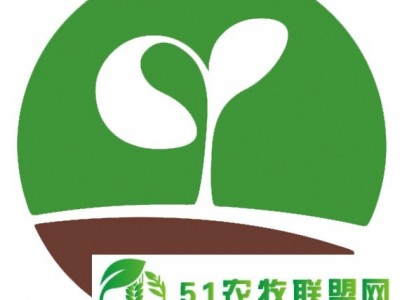 长春花-勇士种子 抗病性*好 进口品种 阿陌园艺 福建厦门图1