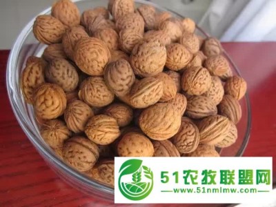 出售山桃核图1