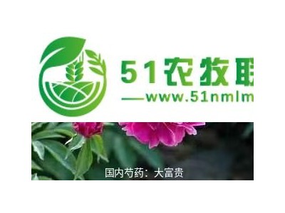杭州芍药苗 牡丹芍药苗 欢迎新老客户实地考察图1