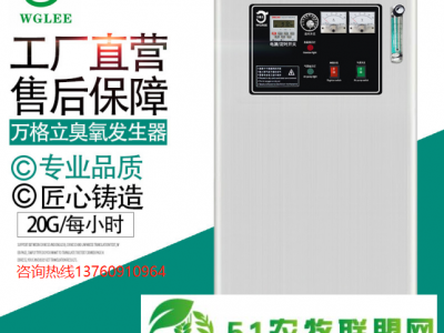 山东养殖场杀菌消毒20克臭氧发生器消毒机空气净化设备图1