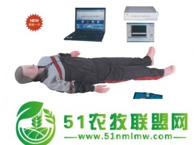 供应心肺复苏AED除颤模拟人,AED除颤模拟人,心肺复苏模型图1