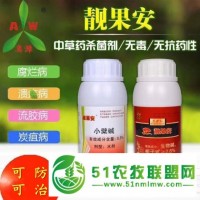 柑橘褐斑病用什么药好