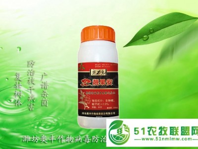猕猴桃用奥丰农药杀菌剂靓果安提高座果率口感好，糖度高图1