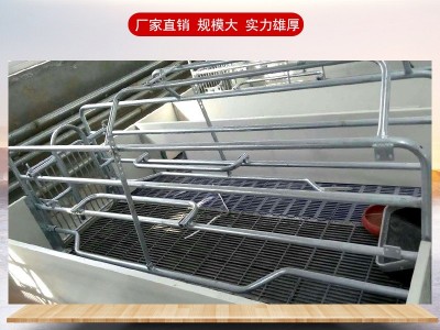 定制肥猪定位栏母猪限位栏养猪设备限位栏批发自动化养殖设备图1