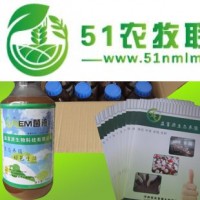 EM菌液EM菌种种植水稻*EM菌液价格是多少