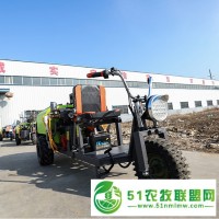 养殖防瘟打药消毒喷雾机 牵引式汽油机喷雾器 果园打药机