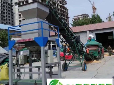 多功能自动定量包装机 鸡料定量包装机 颗粒包装机图1