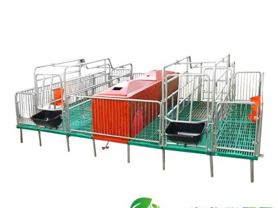 母猪产床定位栏2.5全复合材料热镀锌定制单双一体分娩床养猪图1