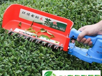24V充电式电池采茶机 茶叶收割采摘机 背负式电动收茶叶机器图1