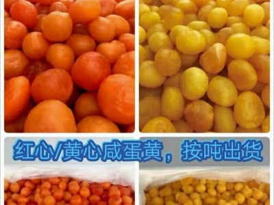 工业蛋黄 红心咸蛋黄 黄心咸蛋黄 粽子月饼食品厂糕点厂家批发图3
