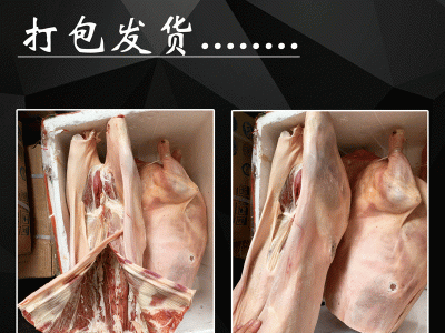 内蒙新鲜羔羊白条羊带皮整羊羊酮体火锅羊肉煲图2