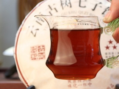 班章金芽 普洱茶班章金芽古树熟饼 宫廷普洱茶 宫廷金芽图4