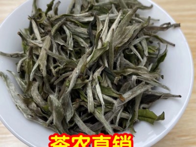 厂家批发2020年头采福鼎的白茶 春茶白牡丹王散装白茶叶花香500g图2
