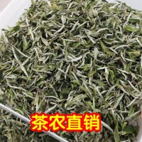 厂家批发2020年头采福鼎的白茶 春茶白牡丹王散装白茶叶花香500g