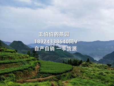 厂家批发2020年头采福鼎的白茶 春茶白牡丹王散装白茶叶花香500g图5