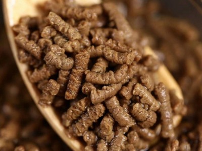 工厂直销云南苦荞茶 黑苦荞茶 荞麦茶 500克苦荞茶全株苦荞米香茶图4