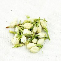 批发供应 新货 茉莉花蕾 广西横县茉莉花茶大小花蕾 茉莉干花