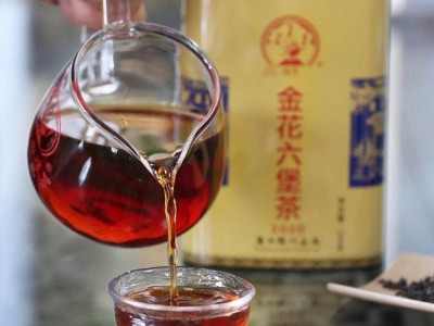 三鹤金花罐2020六堡茶 梧州茶厂2016年陈化特级金花六堡黑茶200g图3