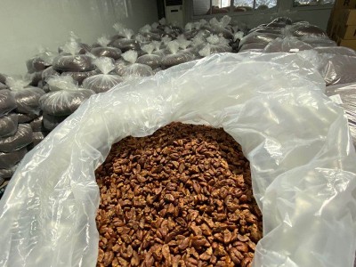 加工小山核桃仁 散装批发坚果零食厂家供应核桃仁炒货加工批发图2