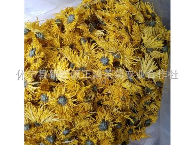 21年新花基地直供金丝皇菊 散装菊花茶 批发一杯一朵金丝大黄菊花图3