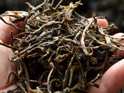云南邦东普洱茶龙珠生茶熟茶 古树纯料茶手工迷你小沱茶500g批发图5
