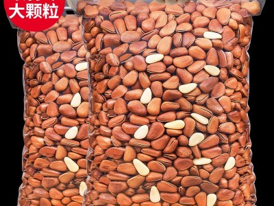 俏美味东北松子500g散装开口手剥松子大颗粒野生松子坚果干果零食图2