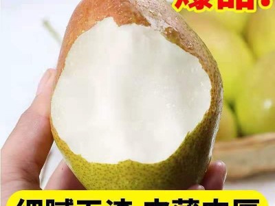 现摘红香酥梨10斤整箱当季新鲜水果批发脆甜多汁香梨酥梨一件代发图5