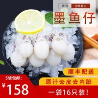 批发墨鱼仔 真空墨鱼仔 原味小墨鱼 小乌鱼海鲜可批发零食