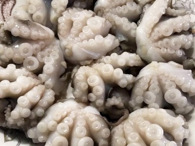 盐磨八爪鱼批发新鲜冷冻海鲜小章鱼饭店餐饮火锅食材八爪鱼图5