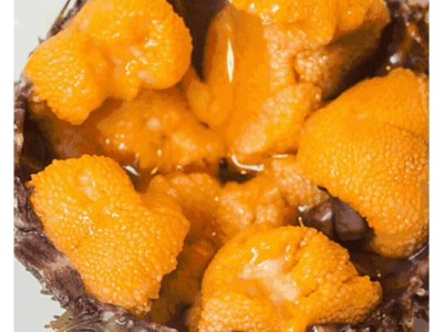 漂烫海胆批发 新鲜速冻海胆黄蒸蛋刺原材料 漂烫马粪海胆200克/盒图5