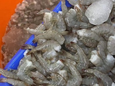 批发 无头虾 南美白去头虾 餐饮 酒店 去头虾 不含物流费图5