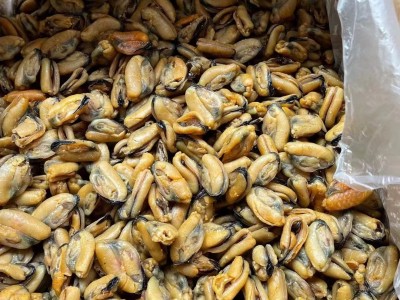 厂家直供 大连淡菜干500g特大号海虹干青口干贻贝 水产海鲜干货图3