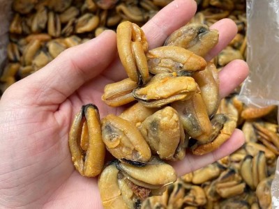 厂家直供 大连淡菜干500g特大号海虹干青口干贻贝 水产海鲜干货图5