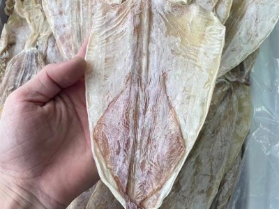 北海鱿鱼干批发A1号-5号手撕鱿鱼干烧烤鱿鱼干ktv尤鱼淡干鱿鱼干图5