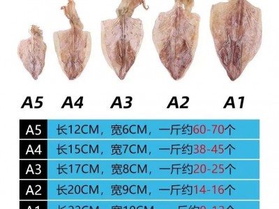 北海鱿鱼干批发A1号-5号手撕鱿鱼干烧烤鱿鱼干ktv尤鱼淡干鱿鱼干图2