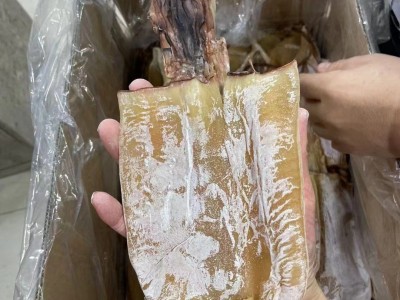 批发 阿根廷鱿鱼干3-9头纯淡干鱿鱼干500g阿鱿海鲜干货批发图5