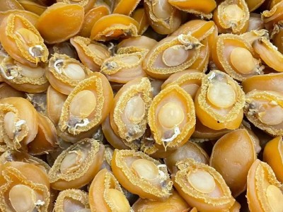 批发大连鲍鱼干 淡干25-1000头规格齐全干鲍鱼干货小鲍鱼干佛跳墙图4