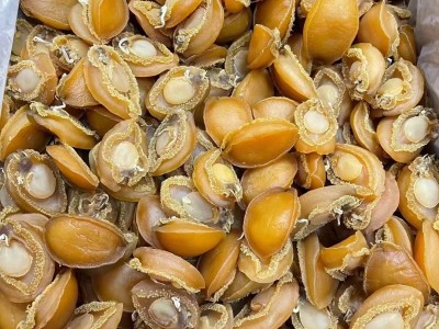 批发大连鲍鱼干 淡干25-1000头规格齐全干鲍鱼干货小鲍鱼干佛跳墙图5