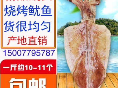 1A广西北海淡晒烧烤手撕大小号干鱿鱼干货尤鱼片整箱散装定价半斤图2
