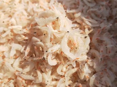 （工厂直销）爆款虾皮 渤海湾纯正虾米 食品级虾皮 资质齐全图3