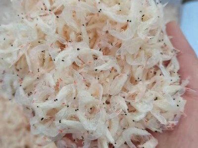 （工厂直销）爆款虾皮 渤海湾纯正虾米 食品级虾皮 资质齐全图4